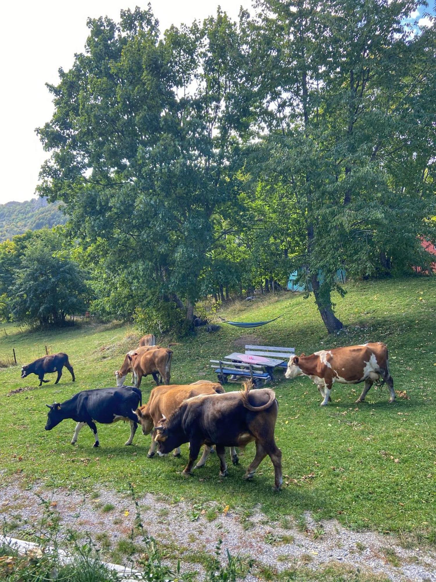 Konak Umoljani Bagian luar foto