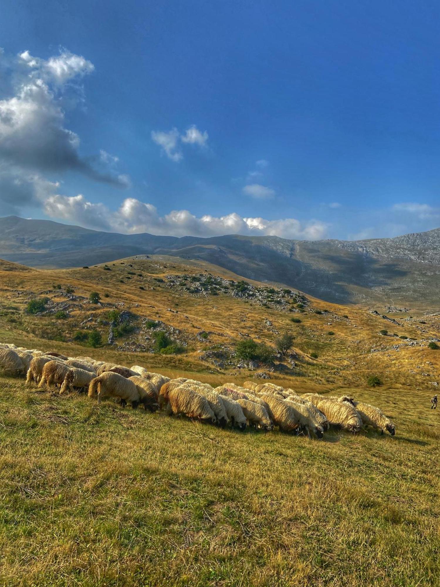 Konak Umoljani Bagian luar foto